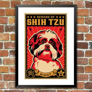 shih tzu, beware dog print, for pet lovers by the animal gallery