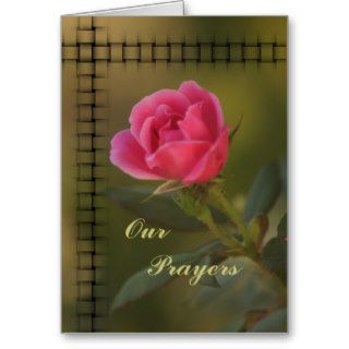 Pink Knockout Prayer card  customize
