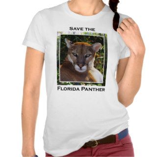 Florida Panther T shirt