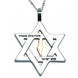 Stainless Steel Judaica Pendant with Star of David Symbol and "Love the World" Hebrew Scripture. It comes with Rolo Type Chain (22 Inches) Jewelry