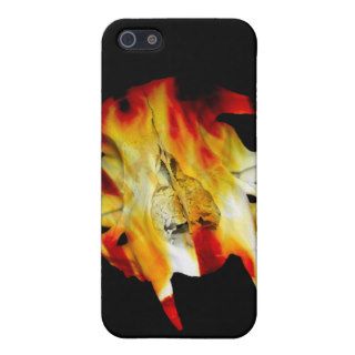 Fire Saber Tooth Cat Skull iPhone4 iPhone 5 Cases