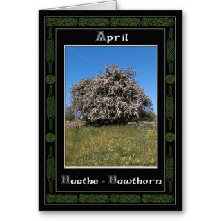 April Birthday Celtic Oracle Divination Cards