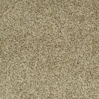 STAINMASTER Trusoft Private Oasis I 12 Papillion Fashion Forward Indoor Carpet