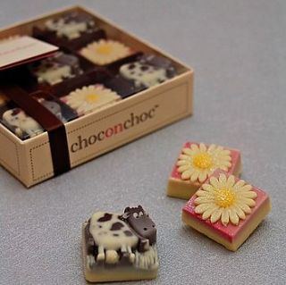 cows and daisies chocolates by chocolate on chocolate