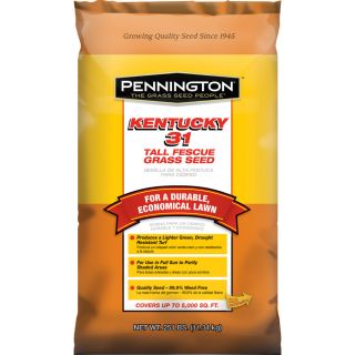 Pennington 25 lbs Sun and Shade Fescue Grass Seed Mixture