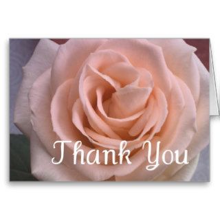 Beautiful Pale Pink Rose Thank You Card