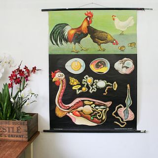 vintage pull down chart 'rooster' by bonnie and bell