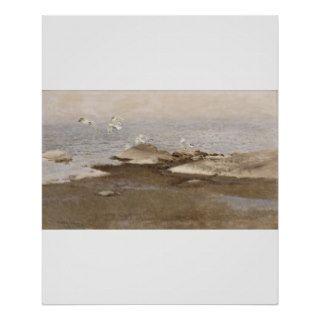 Bruno Liljefors   Gulls @ Beach 1909 Sea Seagull Print