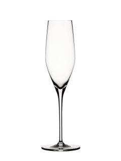 Authentis 6 5/7 OZ Champagne Flutes (Set of 6) by Spiegelau