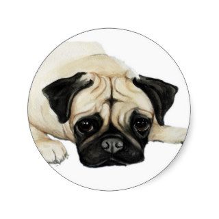 "Pug" Dog Art Sticker