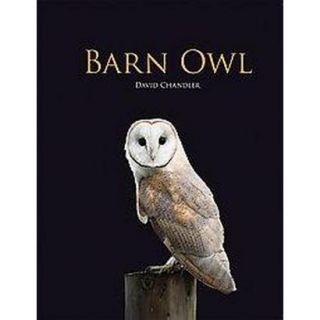 Barn Owl (Hardcover)