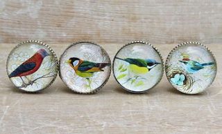 set of four glass and brass bird knobs by horsfall & wright