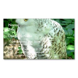 Snowy Owl Bird Business Card Template