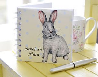 rabbit notebook by amanda hancocks