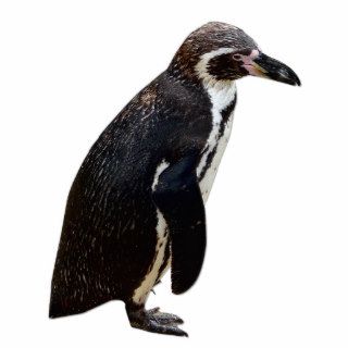Cute Black and White Humboldt Penguin Sculpture Acrylic Cut Out