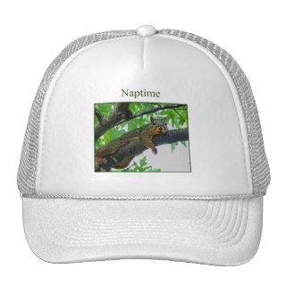 Naptime Funny Squirrel Mesh Hats
