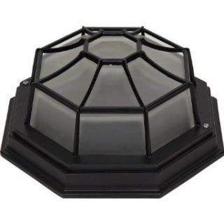 Yosemite Home Decor FL3902LORB Serge 1 Light Fluorescent Exterior Flush Mount with Frosted Shade   Flush Mount Ceiling Light Fixtures  