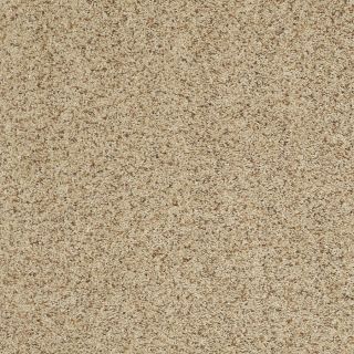 STAINMASTER Trusoft Luscious I Vellum Textured Indoor Carpet