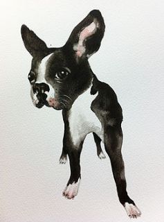 bespoke watercolour pet portrait by ilovespoon