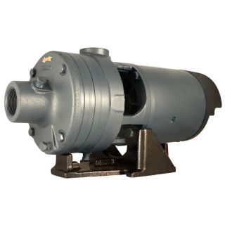 STAR Water Systems 1 HP Cast Iron Lawn Pump