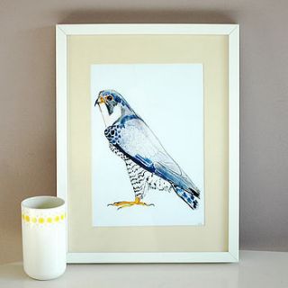 peregrine falcon giclee print by rebecca kiff