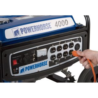 Powerhorse Portable Generator — 4000 Surge Watts, 3100 Rated Watts  Portable Generators
