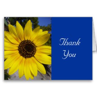 sunflower message greeting cards