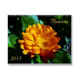 Flower Calendar 2013