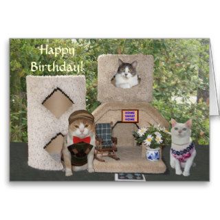 Funny Cats/Kitties Happy Birthday Our House Greeting Cards