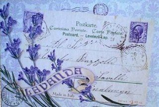 Saponificio Artigianale Fiorentino Lavender Postcard 4 X 4.40 Oz. From Italy Health & Personal Care