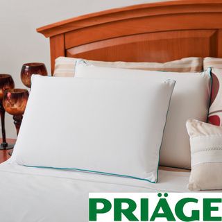 Priage Mygel Memory Foam Traditional Pillow (set Of 2)