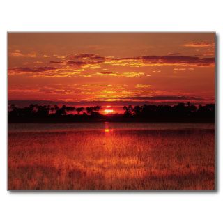 African sunset Botswana postcards