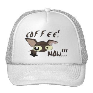 COFFEE NOW Cap for Men and Women Mesh Hat