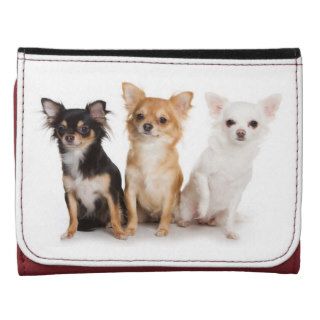 Chihuahua Wallet