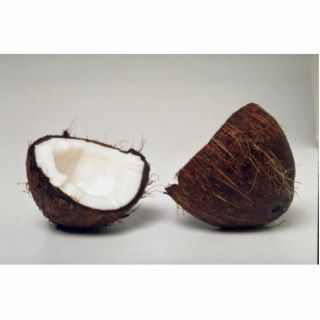 Delicious Coconut halves Cut Out