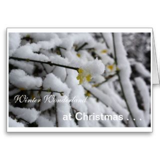Winter Wonderland at Christmas   Greeting Card