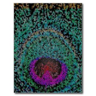 Bright abstract peacock feather girly pink teal postcard