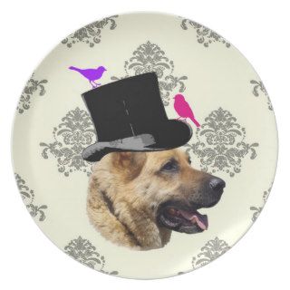 Funny German shepherd dog Party Plates