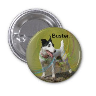 Jack Russell dog on a swirled coloured background. Buttons
