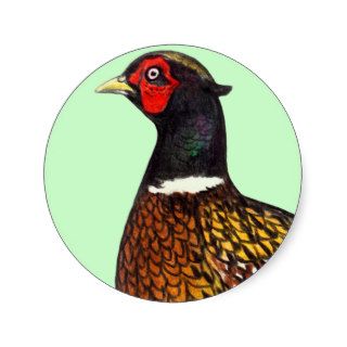 Pheasant  Ringneck Head Sticker