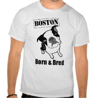 Boston Born & Bred t shirt