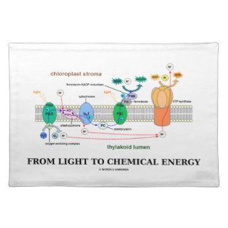 From Light To Chemical Energy (Photosynthesis) Placemat