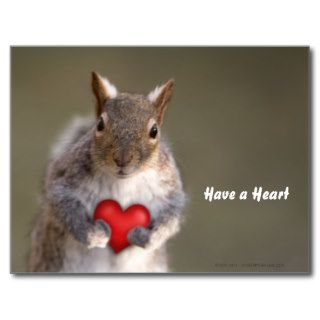 Squirrel Lover Custom Postcard