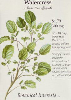 Watercress Seeds Nasturtium officialis 300 mg  Nasturtium Plants  Patio, Lawn & Garden