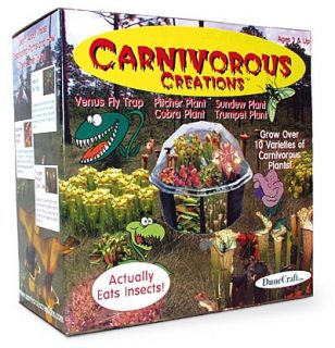 Desktop Carnivorous Plant Set