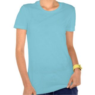 Plain Women's Bella Jersey T Shirt Turquoise