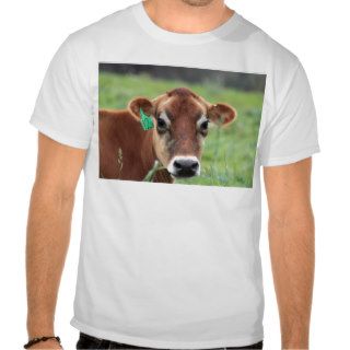 Jersey Cow T Shirts