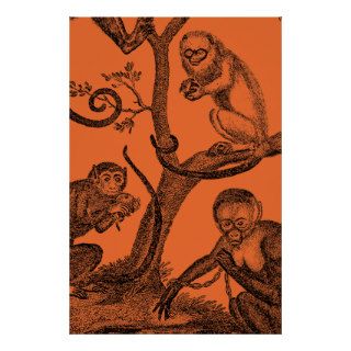 Vintage Orange Monkey Illustration 1800's Monkeys Print