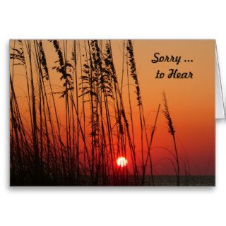 Sympathy, Death of a Son, Sunset Through Seaoats Greeting Cards