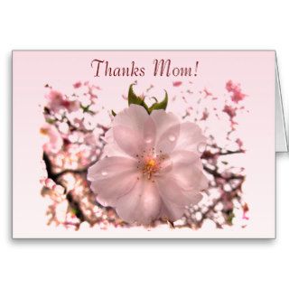Cherry Blossom Mother's Day Greeting Cards